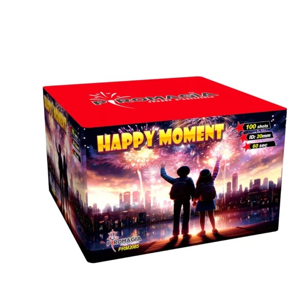 Happy Moment